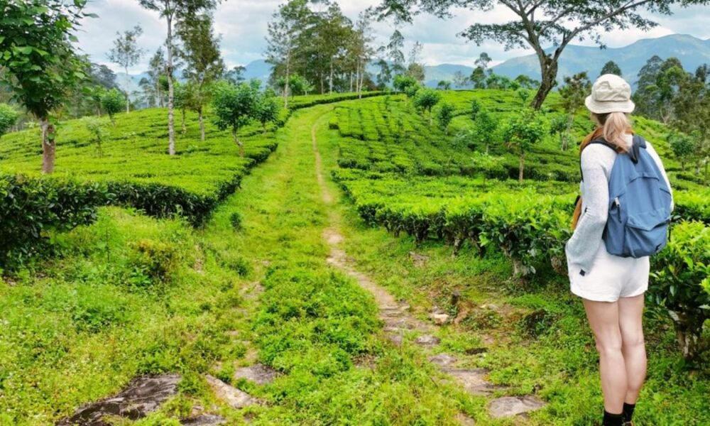 Tea Leaf Retreat Appartement Kandy Buitenkant foto
