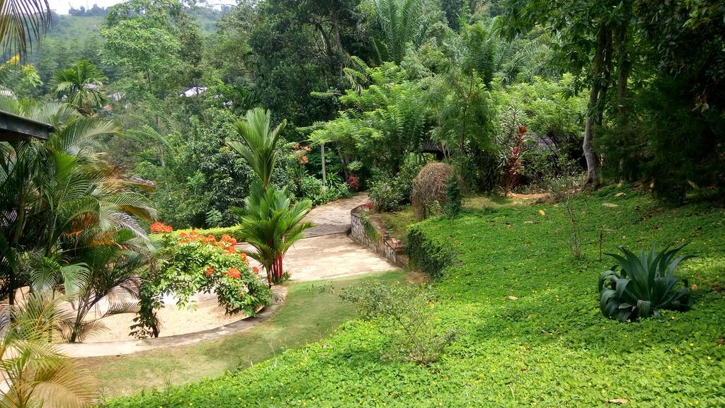 Tea Leaf Retreat Appartement Kandy Buitenkant foto