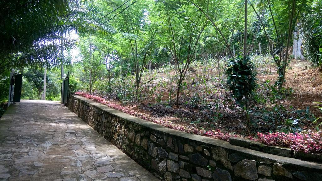 Tea Leaf Retreat Appartement Kandy Buitenkant foto